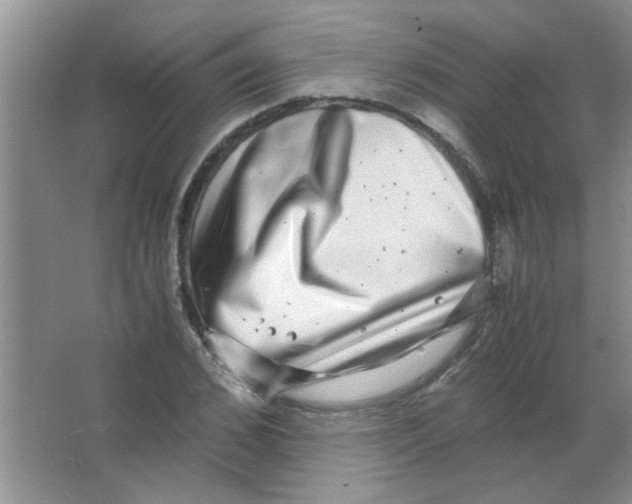 X0000063500976200602101855