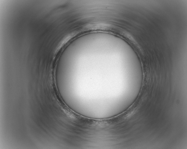 X0000063500978200602101855