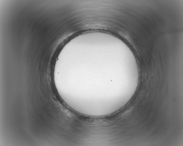 X0000063500979200602101855