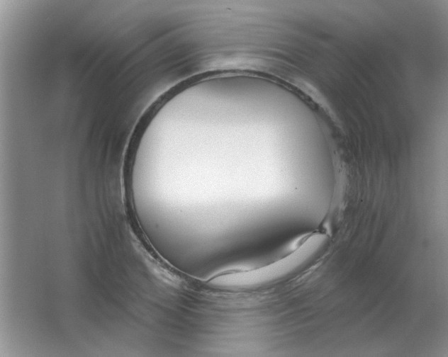 X0000063500980200602101855