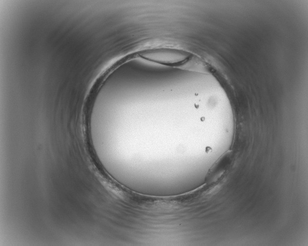 X0000063500981200602101855