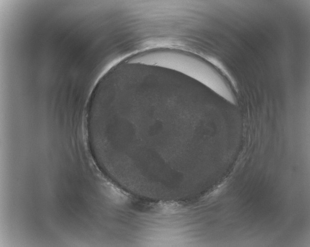 X0000063500983200602101855