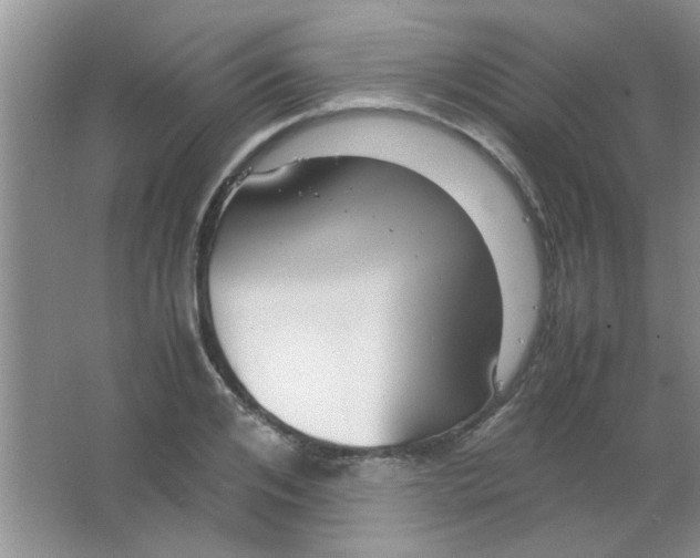 X0000063500984200602101855