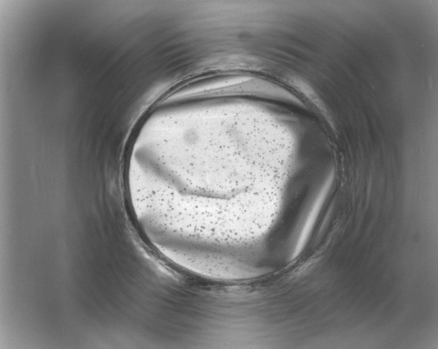 X0000063500986200602101854