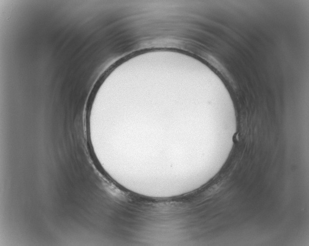 X0000063500988200602101854