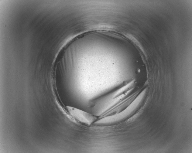 X0000063500989200602101854