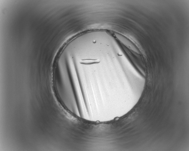 X0000063500992200602101854