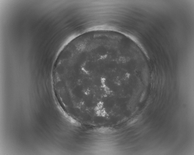 X0000063500998200602101854