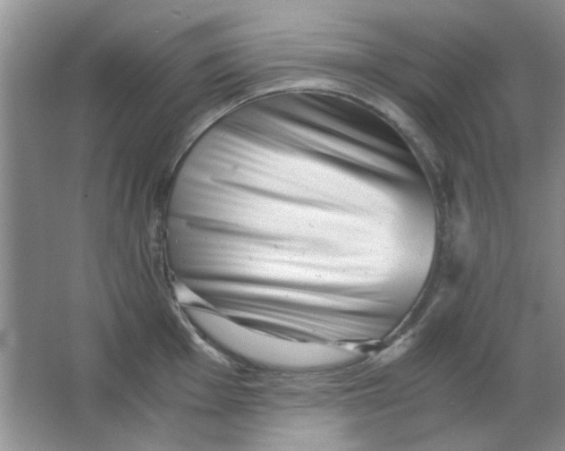 X0000063501001200602101854