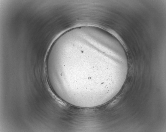 X0000063501004200602101854