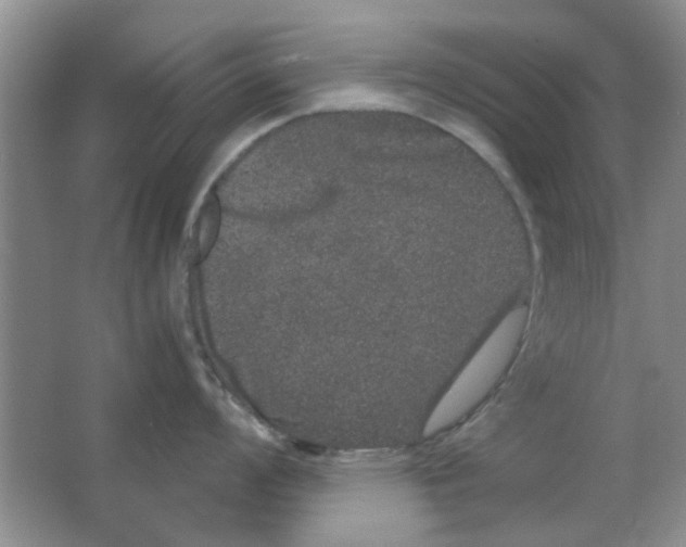 X0000063501008200602101854