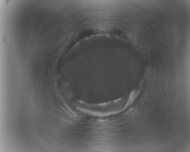 X0000063501009200602101853