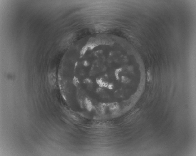 X0000063501011200602101853