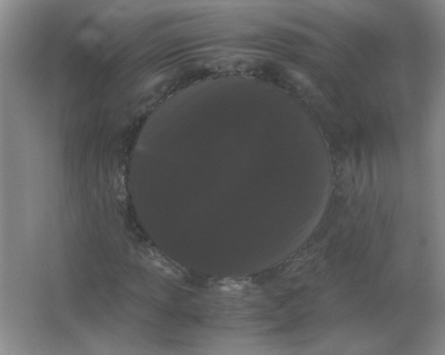 X0000063501013200602101853