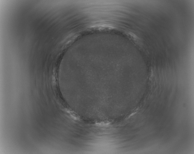 X0000063501014200602101853