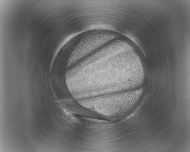 X0000063501022200602101854