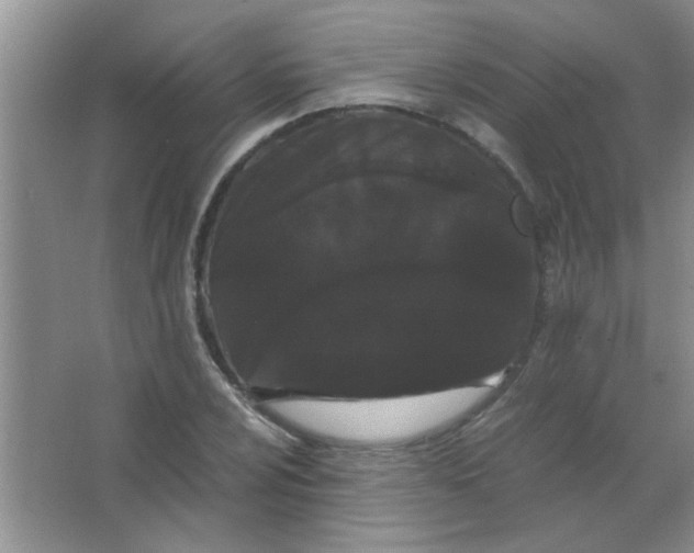 X0000063501024200602101854