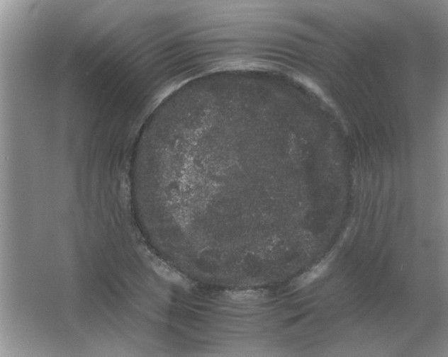 X0000063501025200602101854