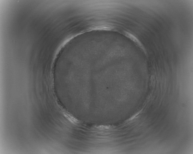 X0000063501027200602101854