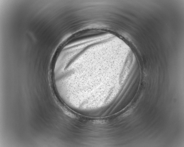 X0000063501029200602101854