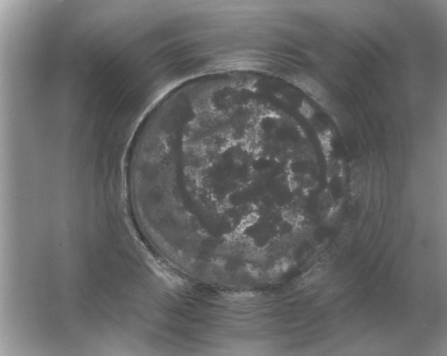 X0000063501031200602101854