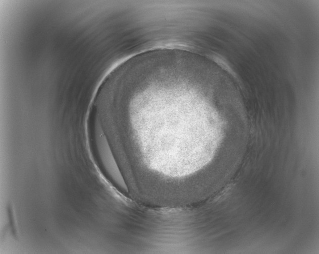 X0000063501032200602101854