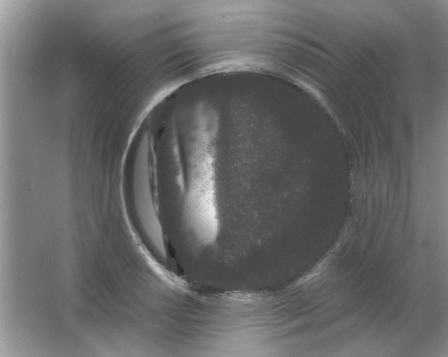 X0000063501034200602101854