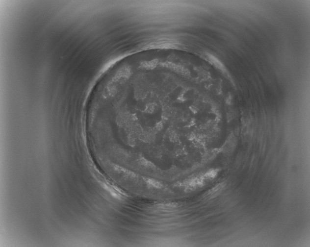 X0000063501035200602101854