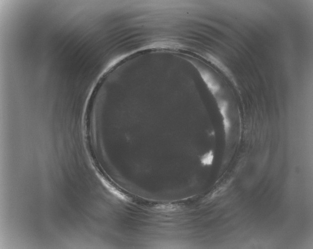 X0000063501037200602101854