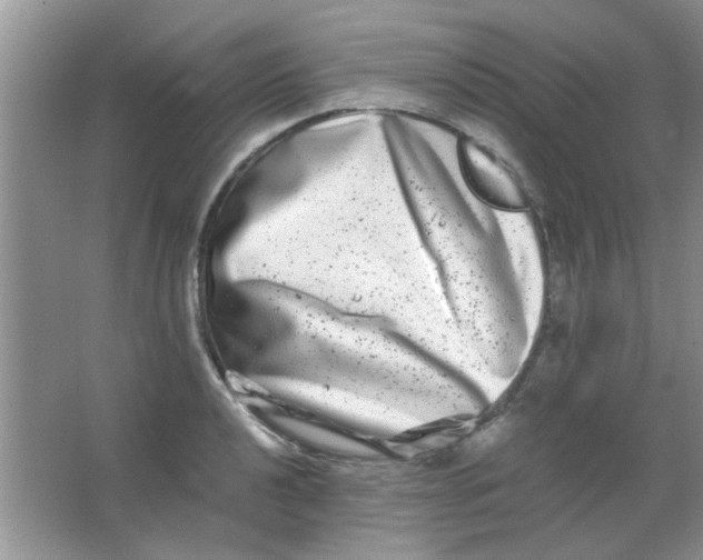 X0000063501040200602101854