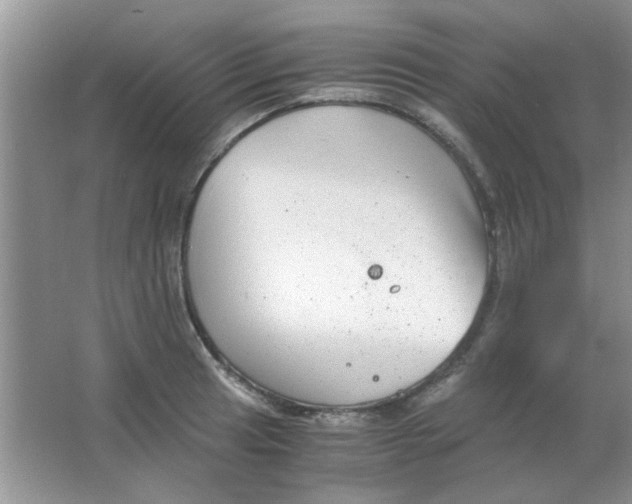 X0000063501041200602101854