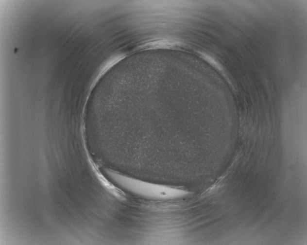 X0000063501042200602101854