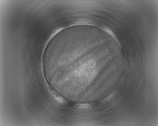 X0000063501043200602101854