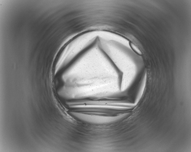 X0000063501044200602101854