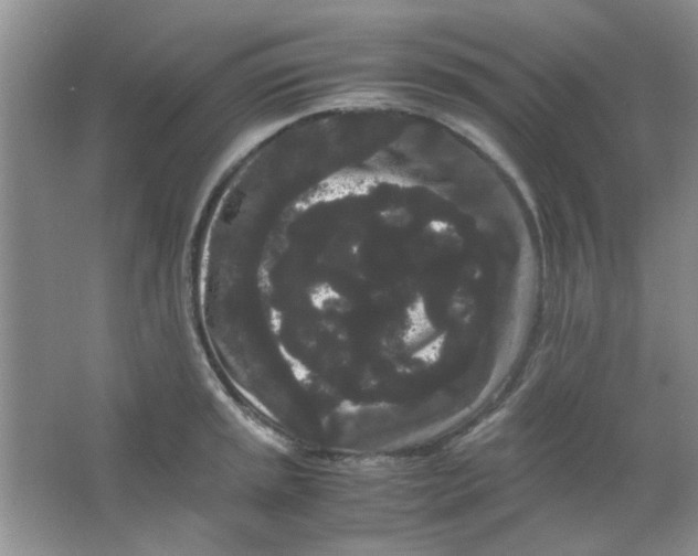 X0000063501045200602101854