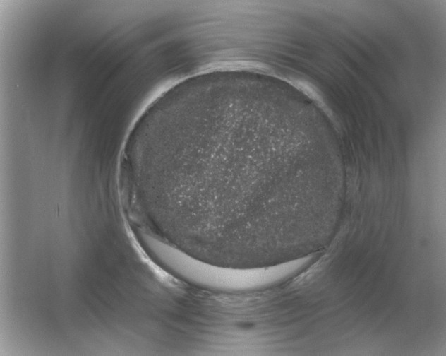 X0000063501046200602101854