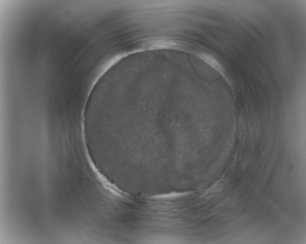 X0000063501047200602101854