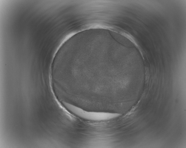 X0000063501048200602101854