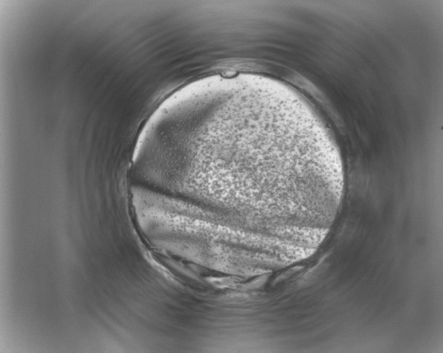 X0000063501049200602101854