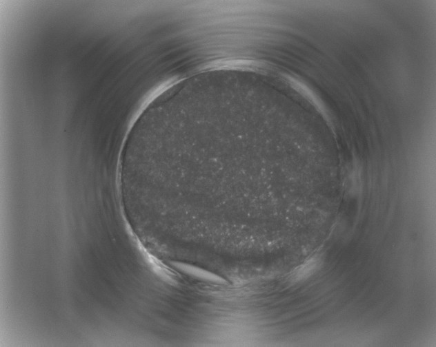 X0000063501050200602101854