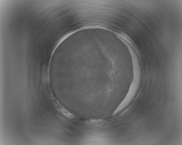 X0000063501052200602101854