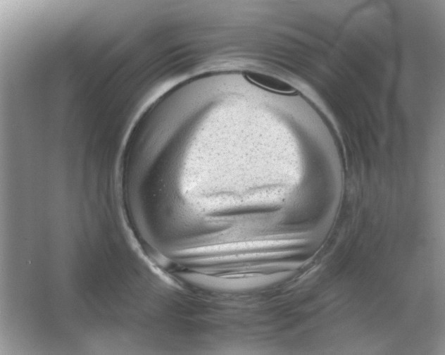 X0000063501053200602101854