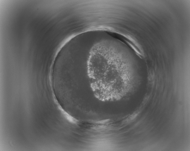 X0000063501054200602101854