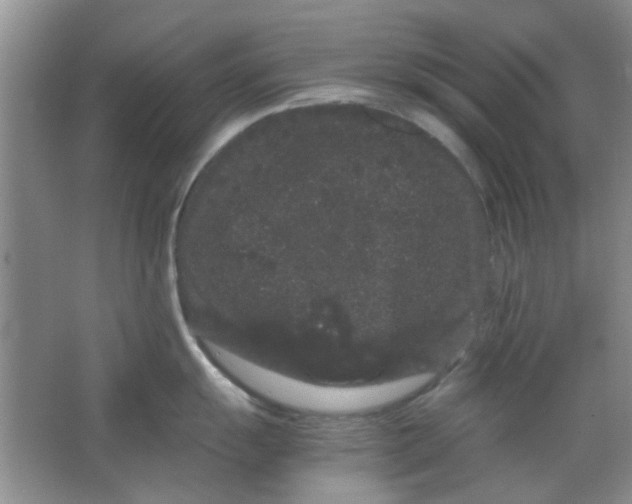 X0000063501055200602101854