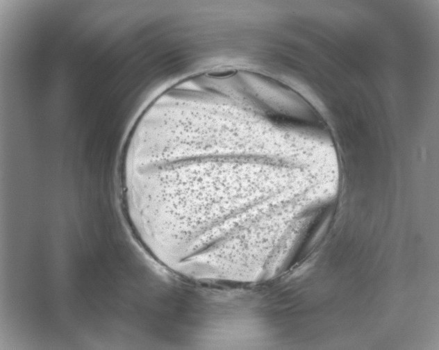 X0000063501056200602101854