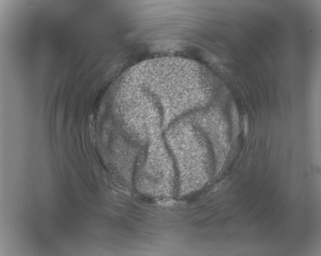 X0000063501059200602101853