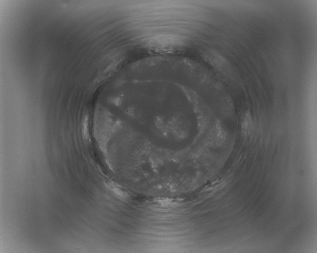 X0000063501060200602101853