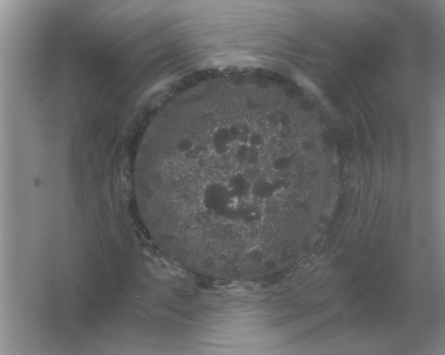 X0000063501063200602101853