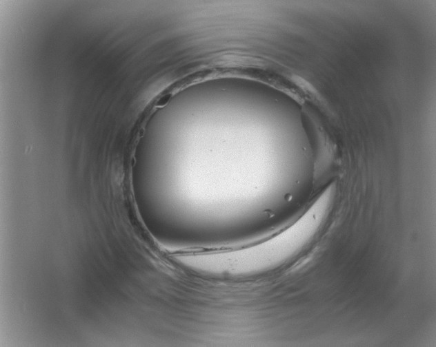 X0000063501065200602101853