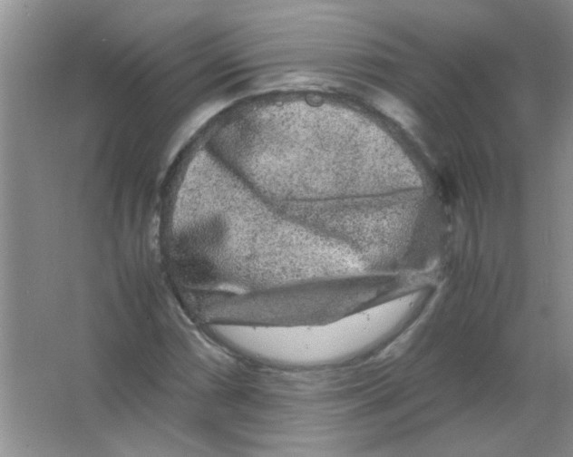 X0000063501066200602101853